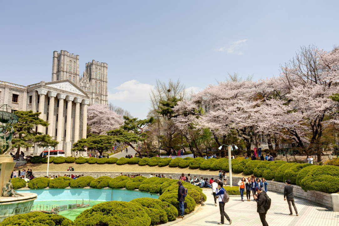 Университет Кёнхи