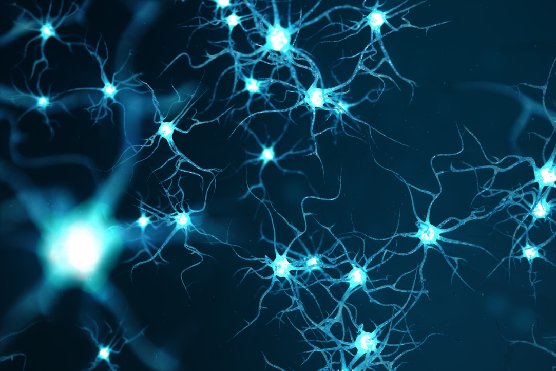Illustration for news: Russian Scientists Reconstruct Dynamics of Brain Neuron Model Using Neural Network